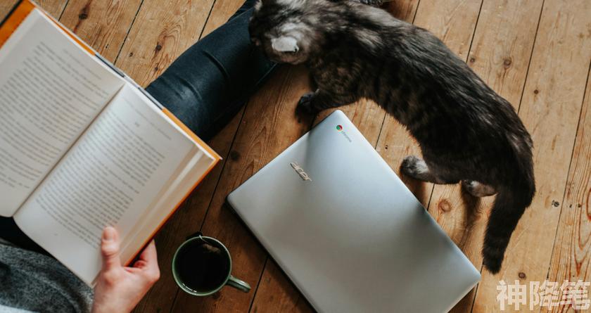 神降笔,神降笔降AIGC,神降笔论文修改,神降笔论文查重,神降笔论文检测,论文查重检测系统,神降笔论文改重,智能论文降重,神降笔论文降重软件